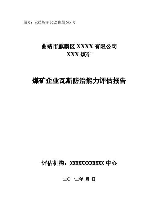 煤矿企业瓦斯防治能力评估报告模板