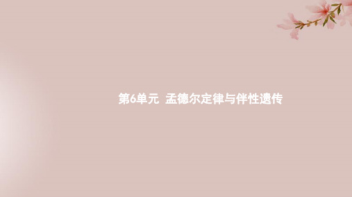 2020版高考生物小册子第6单元孟德尔定律与伴性遗传课件新人教版