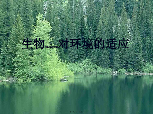 七年级生物上册 1.2.3 生物对环境的适应和影响课件1 