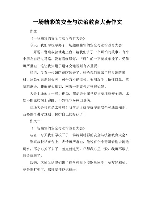 一场精彩的安全与法治教育大会作文