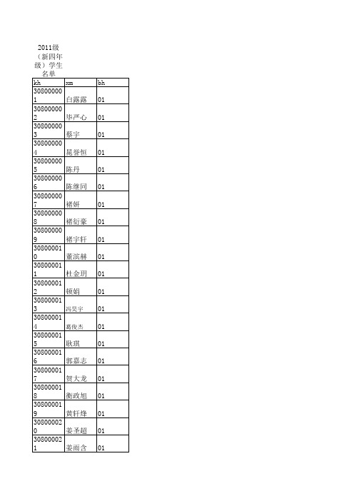 新建 Microsoft Office Excel 97-2003 工作表