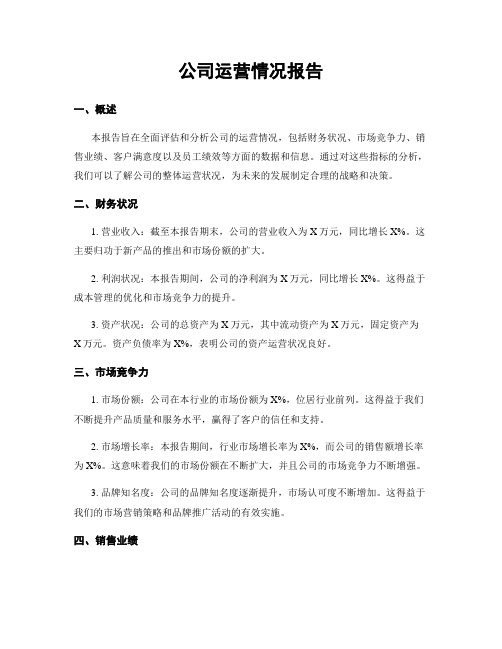 公司运营情况报告