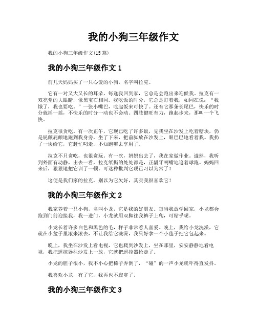 我的小狗三年级作文