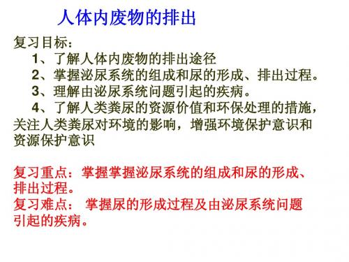 湖北省十堰市丹江口市习家店中学七年级生物教学课件:人体内的排泄