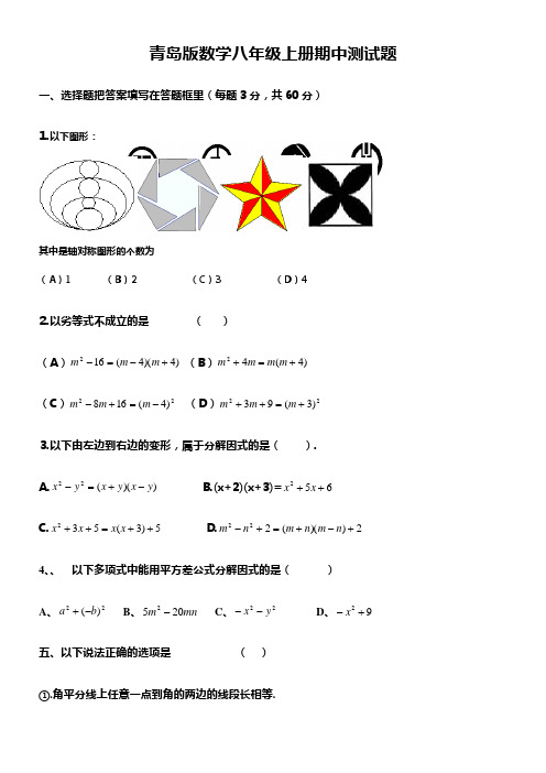 2021年青岛版数学八年级上册期中测试题及答案