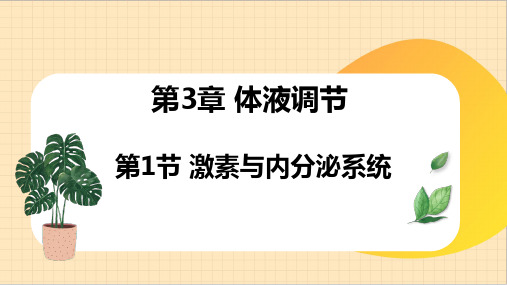 激素与内分泌系统ppt课件