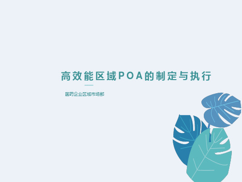 医药区域产品经理项目与行动计划制定POA