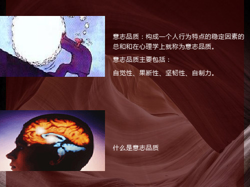 心理健康教育意志力教学PPT