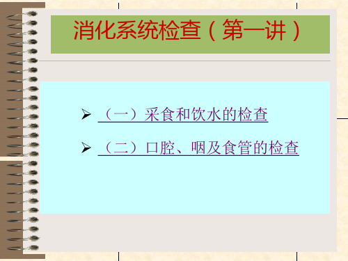 消化系统检查