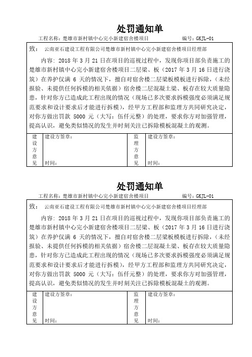 监理工程师处罚通知单