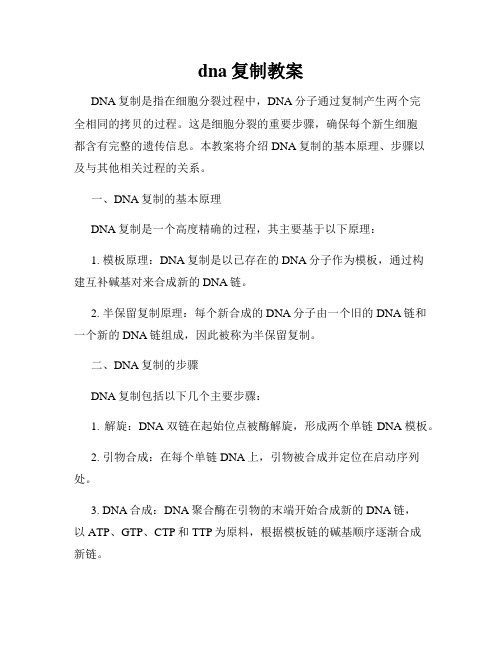 dna复制教案