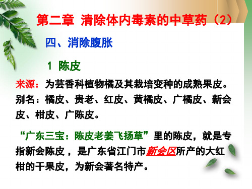 第二章 清除体内毒素的中草药(2)