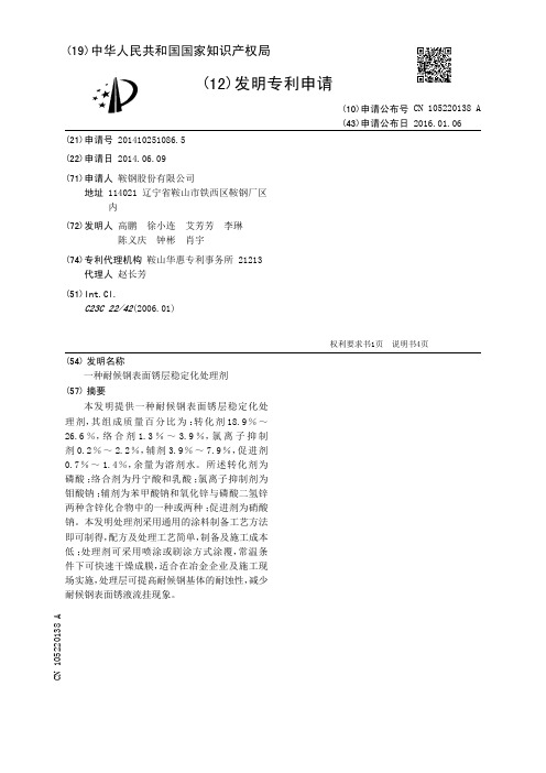 一种耐候钢表面锈层稳定化处理剂[发明专利]