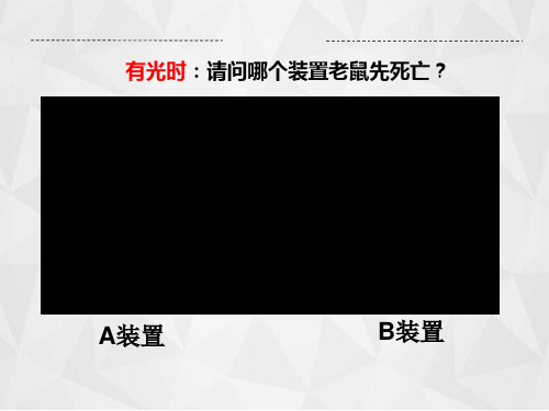 第二节呼吸作用课件北师大版生物七年级上册