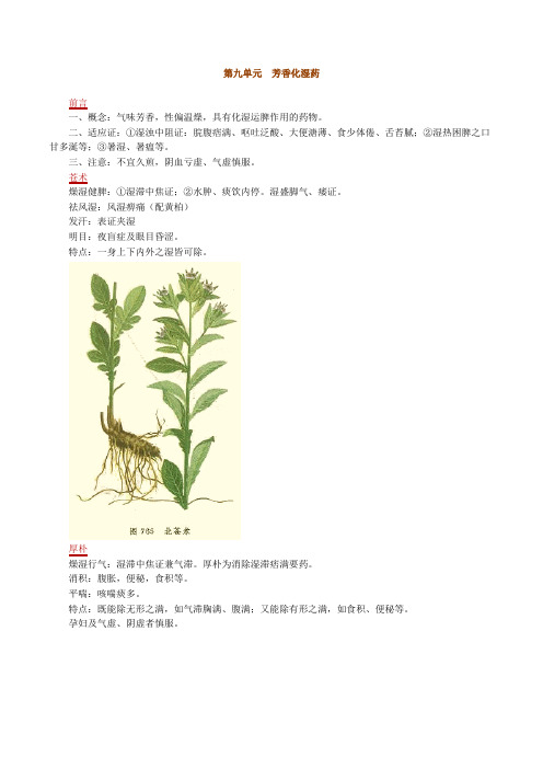 执业中药师中药学芳香化湿药