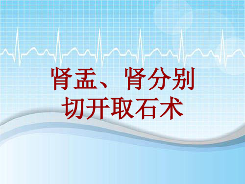 外科手术教学资料：肾盂、肾分别切开取石术讲解模板