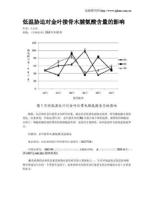 低温胁迫对金叶接骨木脯氨酸含量的影响