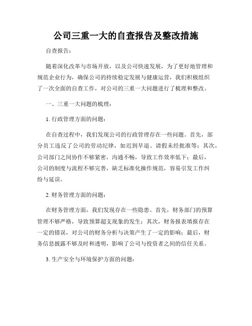 公司三重一大的自查报告及整改措施