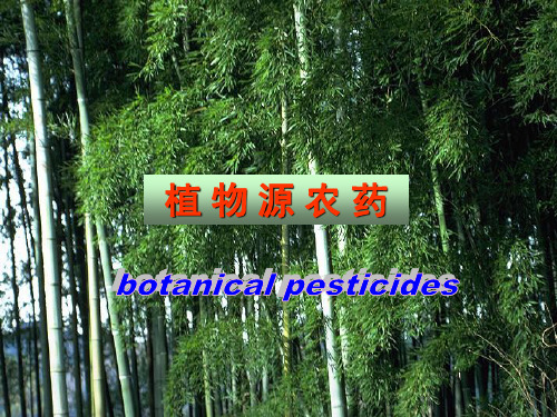 第六章植物源农药PPT课件