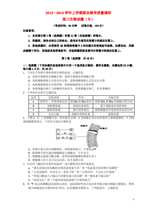 山东省广饶一中高三生物上学期期末考试试题(B卷)新人