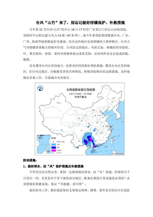 台风“山竹”来了,别忘记做好柑橘保护、补救措施