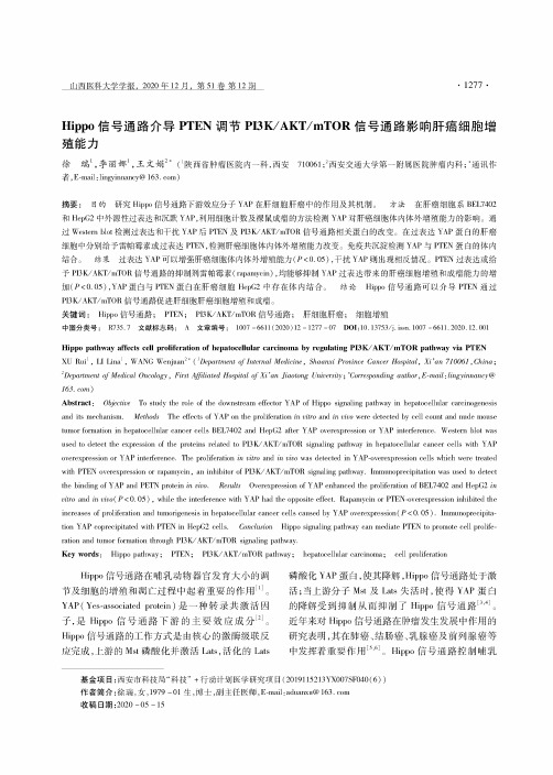 Hippo信号通路介导PTEN调节PI3KAKTmTOR信号通路影响肝癌细胞增殖能力