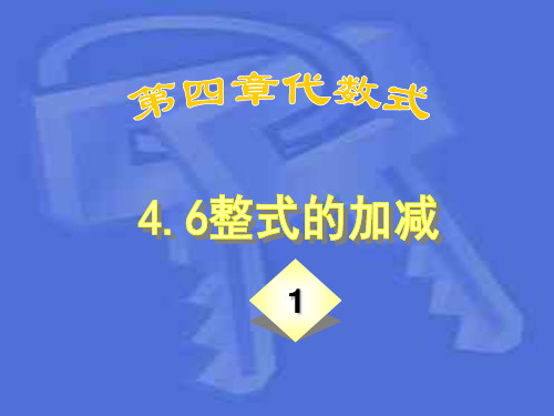 4.6整式的加减(1)_--浙教版(2019年12月整理)