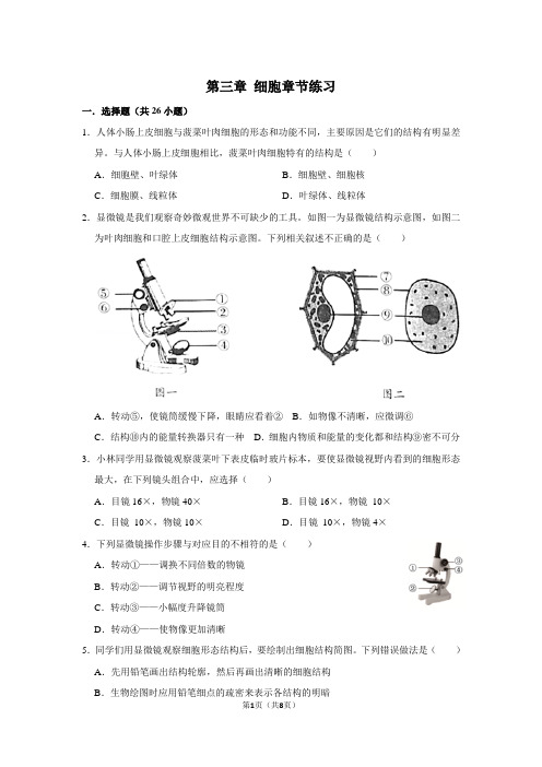 第三章细胞章节练习-2021-2022学年七年级上学期北师大版生物(含答案)