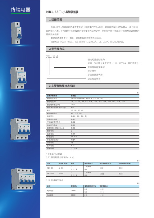 NB1-63小型断路器