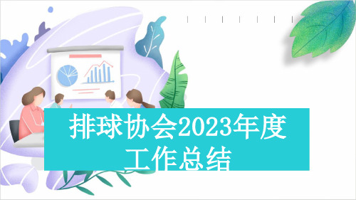 排球协会2023年度工作总结