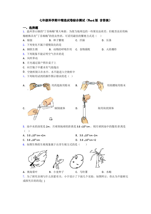 七年级科学期中精选试卷综合测试(Word版 含答案)