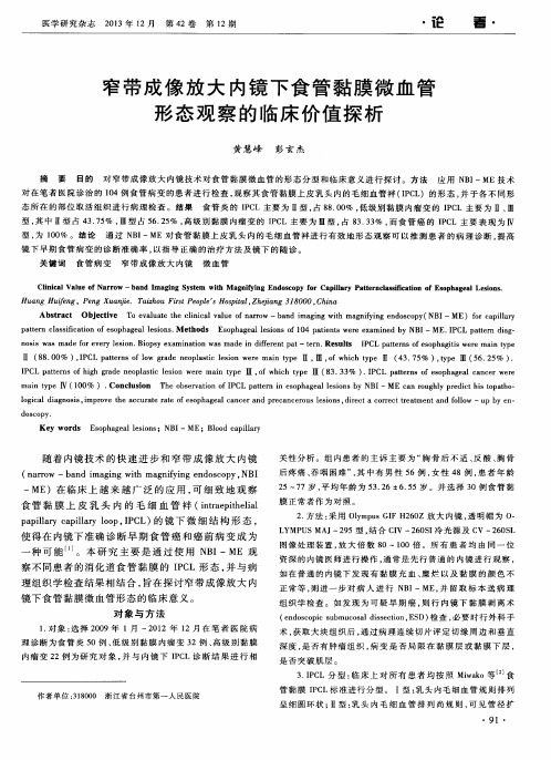 窄带成像放大内镜下食管黏膜微血管形态观察的临床价值探析