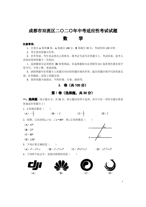 四川省成都市双流区2020年中考适应性考试数学试题(含答案)