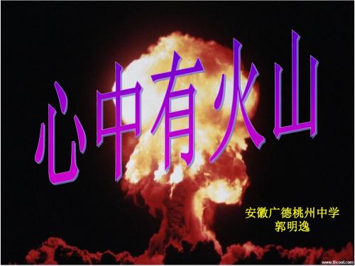 心中有火山PPT优秀课件 人民版(共19张)