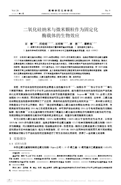 二氧化硅纳米与微米颗粒作为固定化酶载体的生物效应