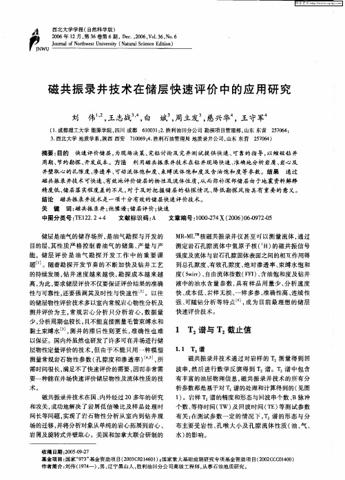 磁共振录井技术在储层快速评价中的应用研究