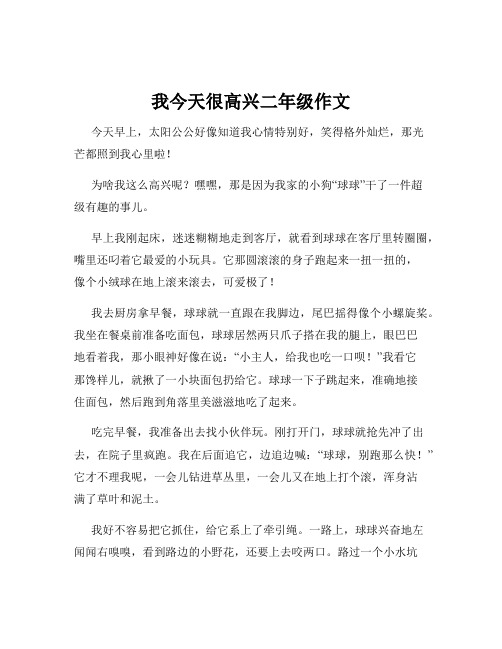 我今天很高兴二年级作文