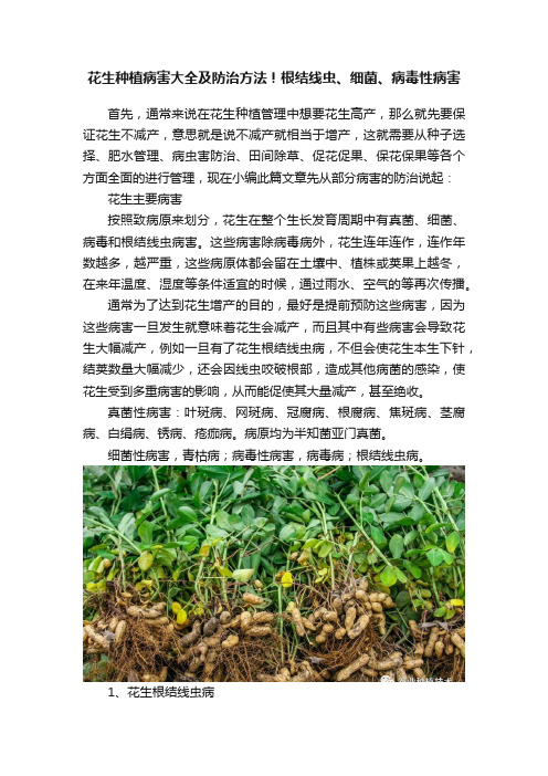 花生种植病害大全及防治方法！根结线虫、细菌、病毒性病害