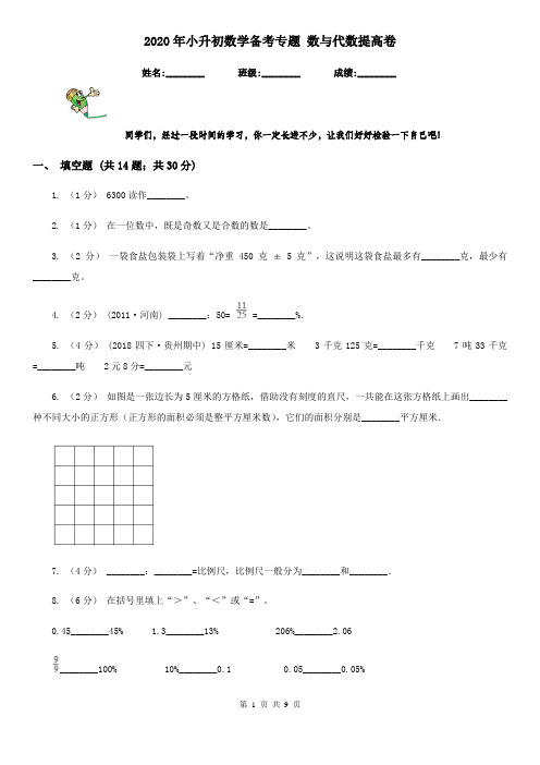 2020年小升初数学备考专题 数与代数提高卷