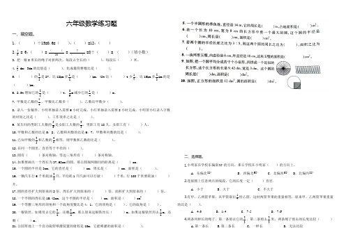 人教版六年级数学上册第9周作业