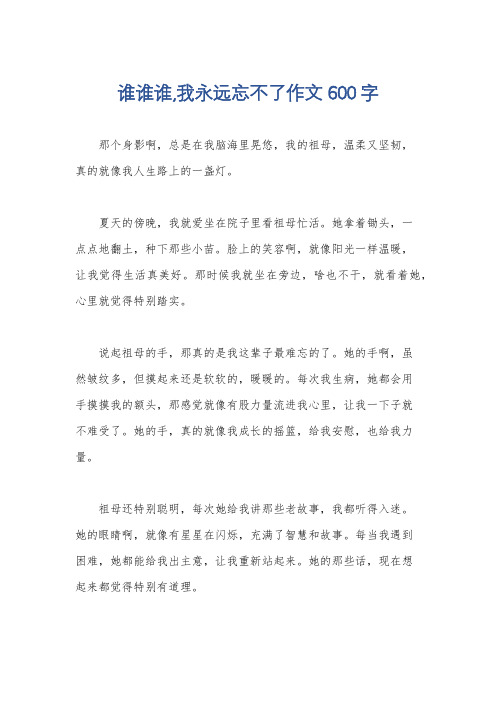 谁谁谁,我永远忘不了作文600字