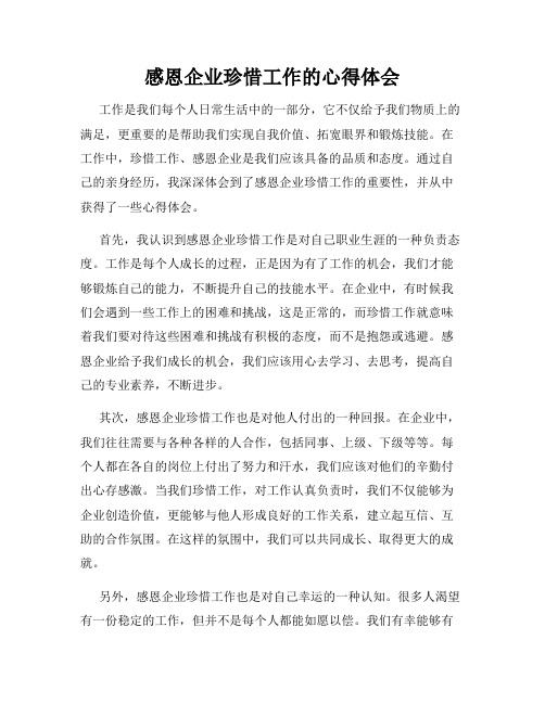 感恩企业珍惜工作的心得体会