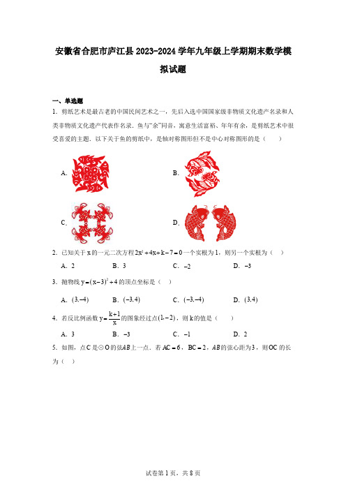 安徽省合肥市庐江县2023-2024学年九年级上学期期末数学模拟试题