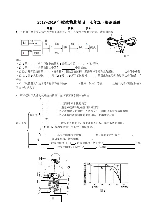 2018-2019学年湖南省长沙市青竹湖湘一外国语学校七年级下生物识图题(含答案)