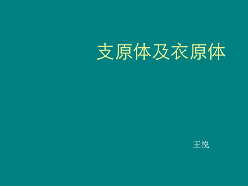 支原体及衣原体ppt课件