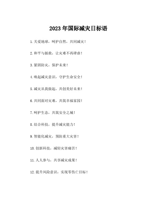 2023年国际减灾日标语