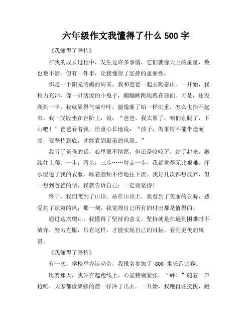 六年级作文我懂得了什么500字