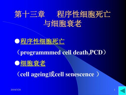 程序性细胞死亡与细胞衰老PPT课件