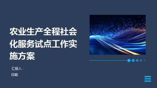 农业生产全程社会化服务试点工作实施方案