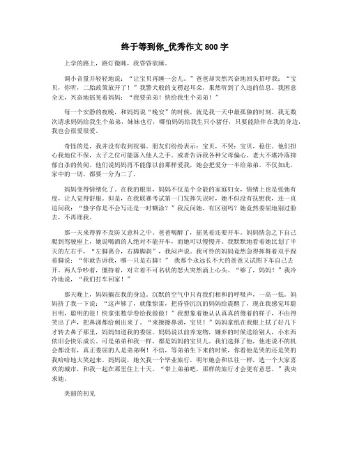 终于等到你_优秀作文800字